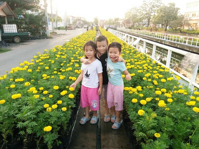 สวนสุขภาพ สมถวิล - Image 1