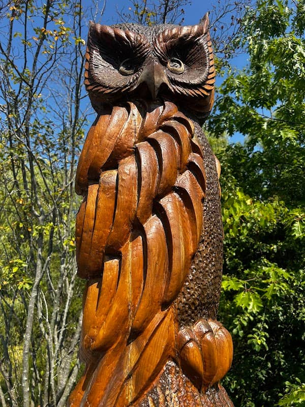 Alex Robertson Park - Image 2
