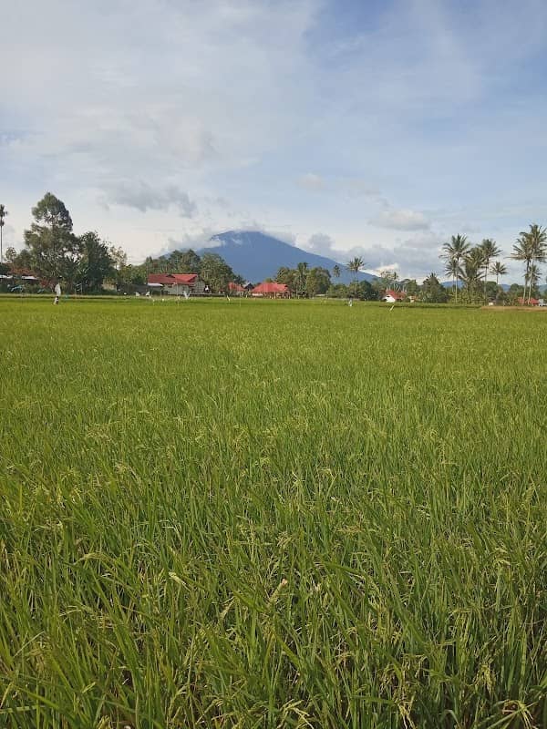 Talau view - Image 1