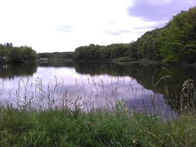 Beartown Lakes Reservation - Image 2