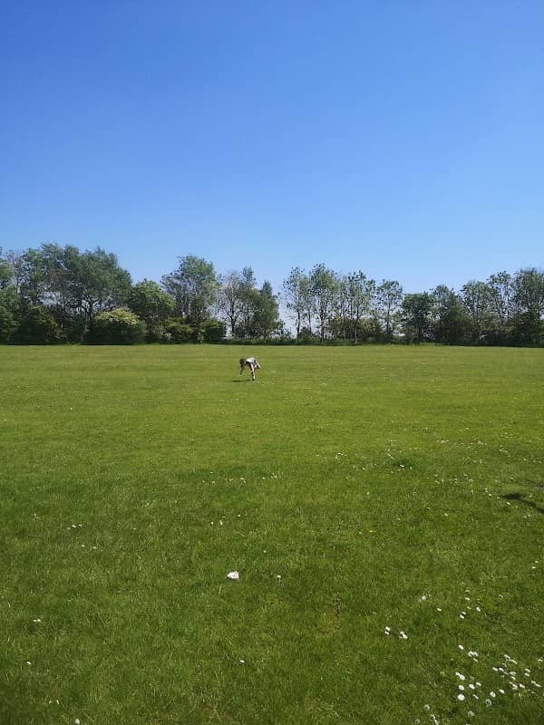 Bob Williamson Park - Image 1