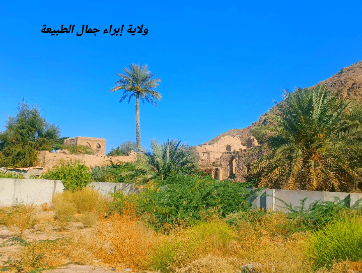 وادي سيح العافية - Image 1