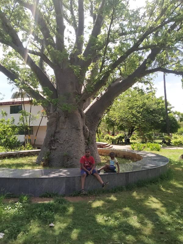 Gandhi Park - Image 1