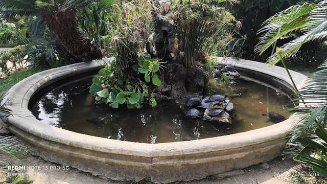 Durazzo Turtle Fountain - Image 1