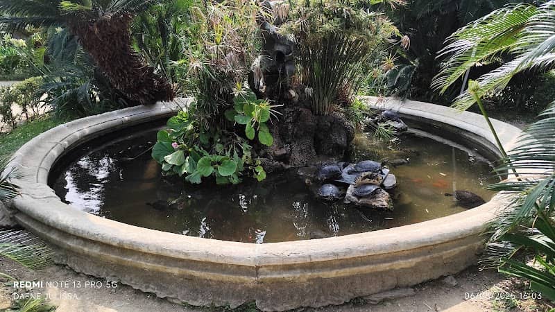 Durazzo Turtle Fountain - Image 1