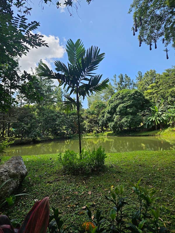 The lake Limón - Image 1