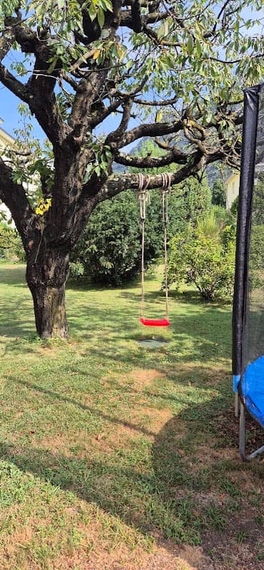 Swing the World Sagl - Image 3