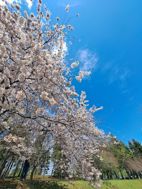 Hoshioki Park - Image 2
