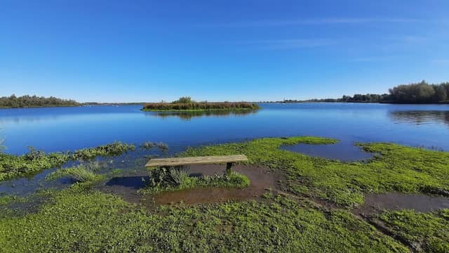 Biesbosch En Omgeving - Image 1