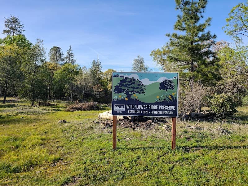 Wildflower Ridge preserve - Bear Yuba Land Trust - Image 2