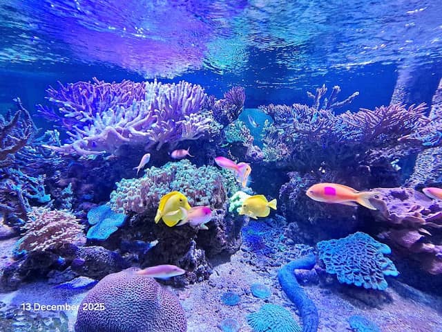 Acuario de la Universidad de Murcia - Image 2