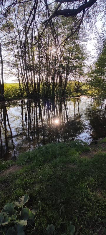 Rybníček na Lejtně - Image 1