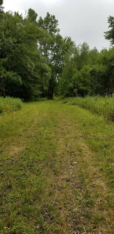Jung Memorial Nature Area and Trail - Image 2