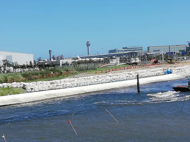 Haneda Peace Torii - Image 2