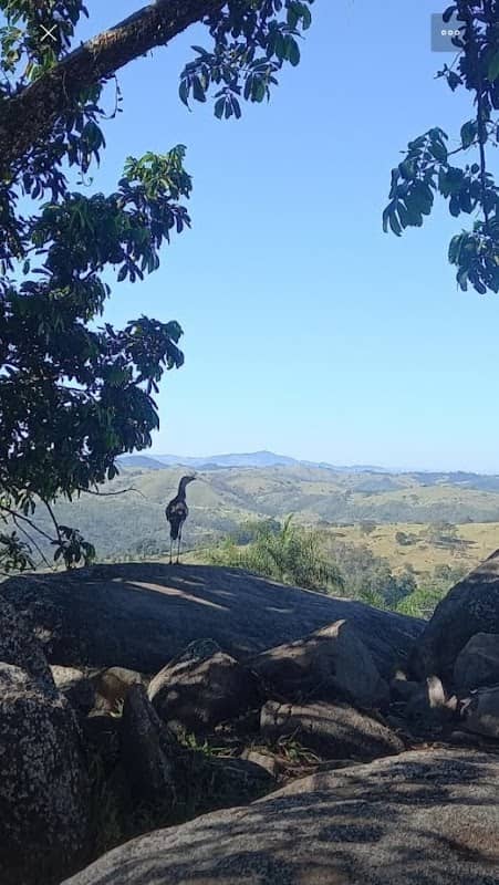 Boulder Roseira - Image 1