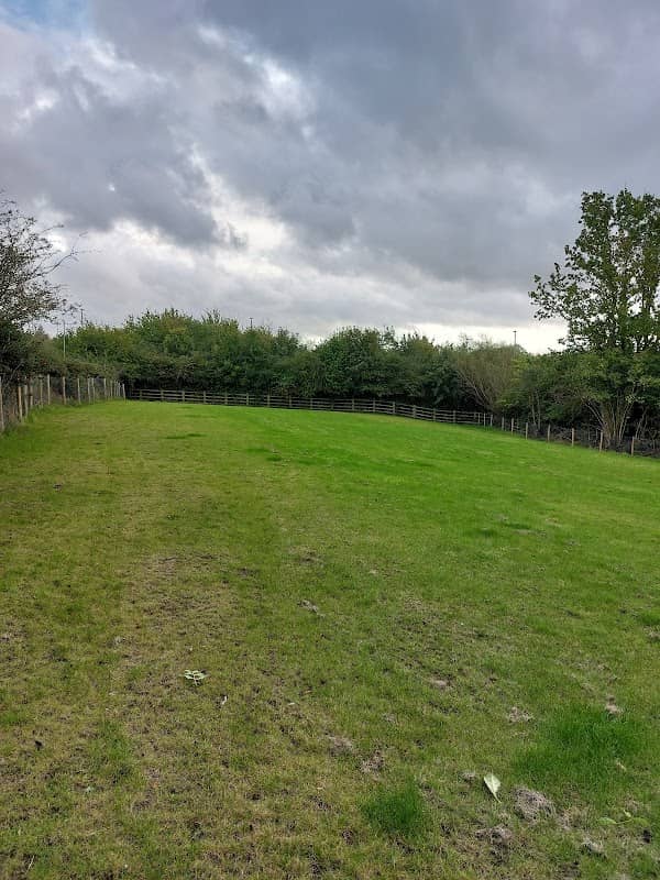 JP's Pooch Paddock - Image 1