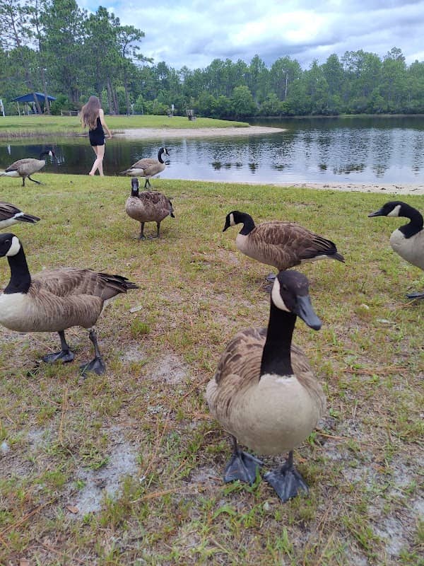 Spring Lake Park - Image 2