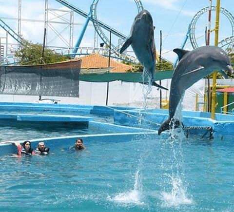 Waterland Mundo Marino - Image 1