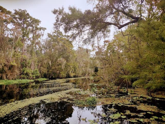 Vera Francis Hall Park - Image 2