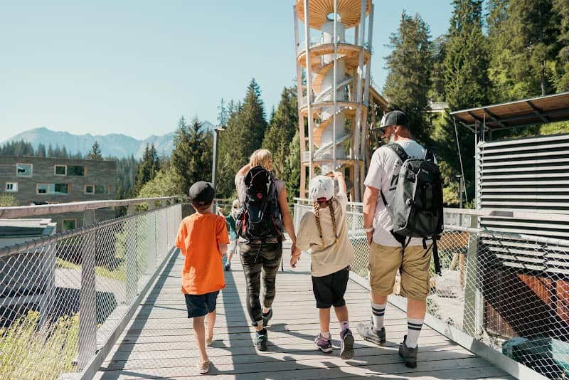 Senda dil Dragun | Baumwipfelpfad LAAX - Image 1