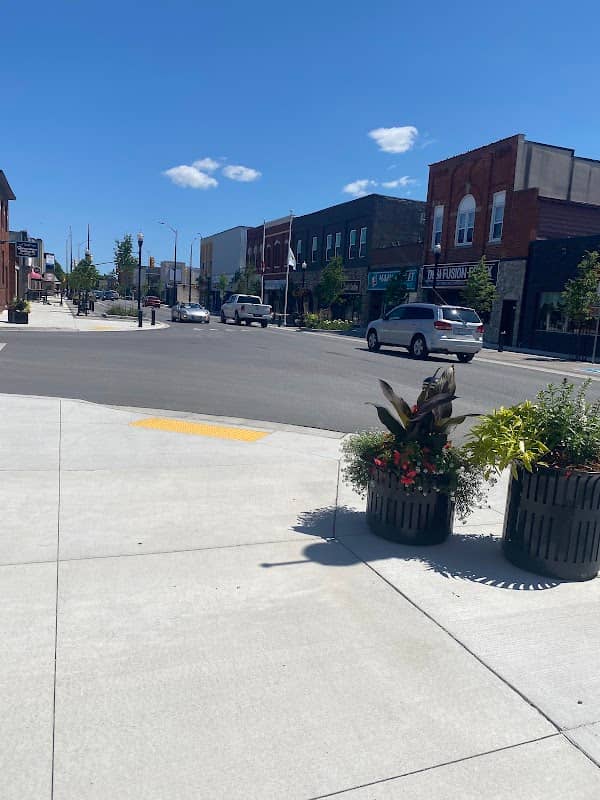 Essex BIA Parkette Mural - Image 1