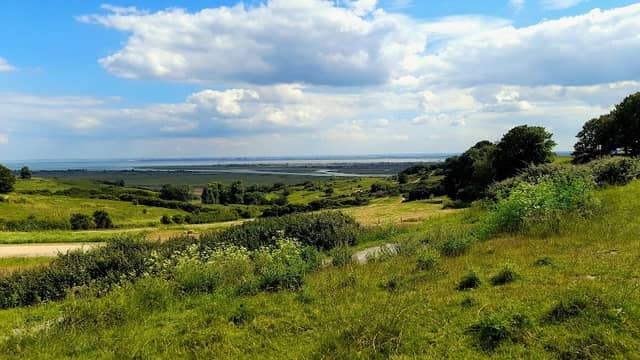 Hadleigh Castle Country Park - Image 1