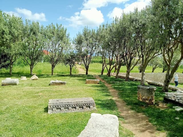 Park - muzej - Image 1