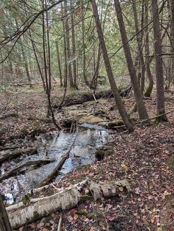 Kalman Nature Preserve - Image 2