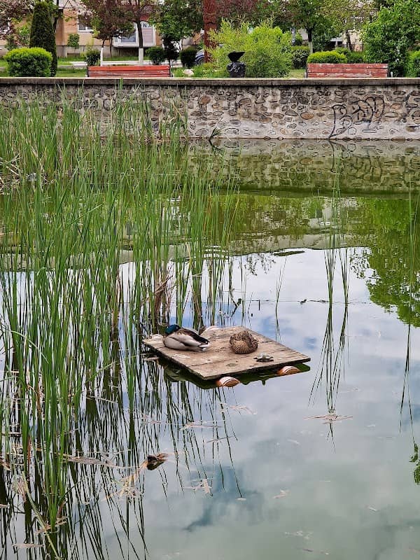 Manole's Park - Image 1