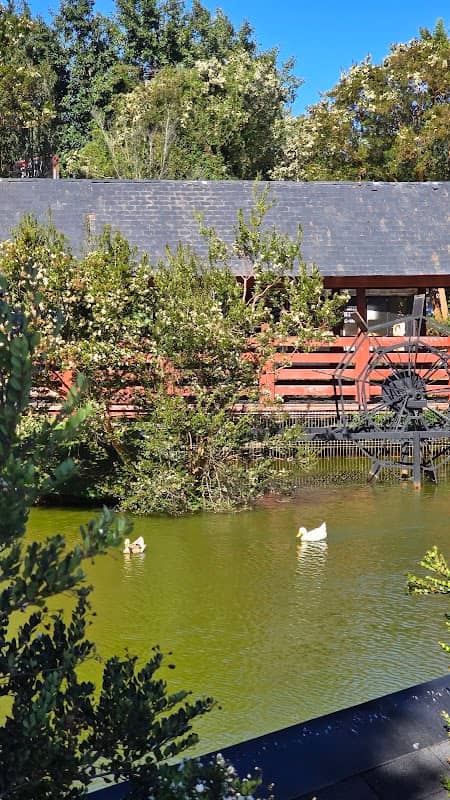 Laguna artificial los gansos - Image 1
