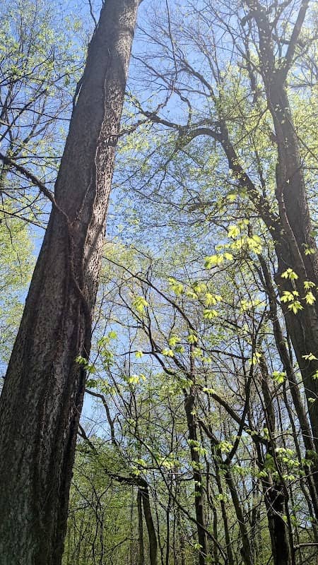 Ouabache Trails Park - Image 1