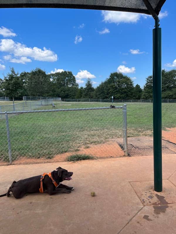 Oconee Veterans Park Bark Park - Image 1
