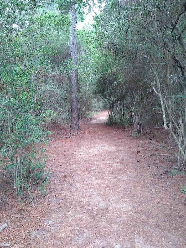 Seabrook Wildlife Refuge and Park - Image 1
