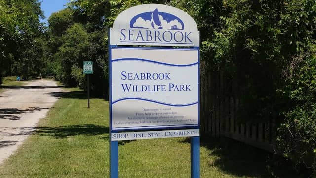 Seabrook Wildlife Refuge and Park - Image 2