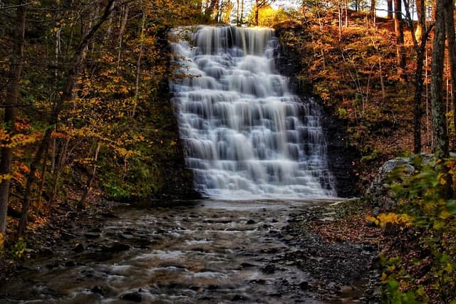 Waverly Glen Park - Image 1