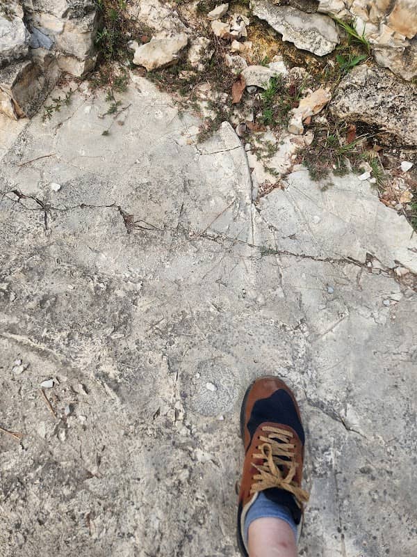 Ancient Foot Prints? - Image 1