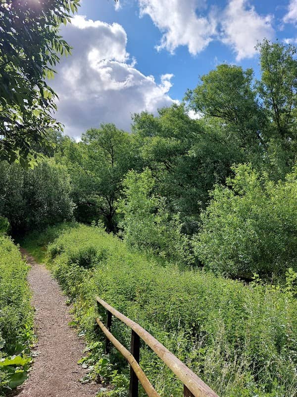 Frenze Beck Nature Reserve - Image 1