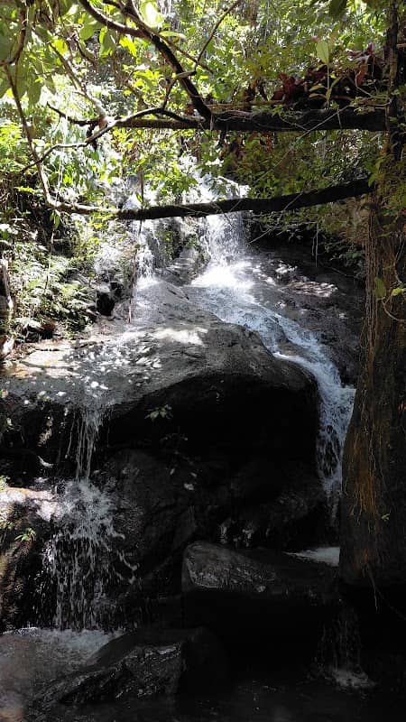 Apuak_Travel - Image 1