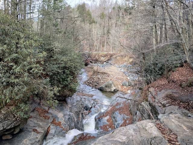 Laurel Creek Falls parking area - Image 1