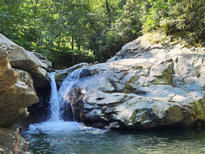 Laurel Creek Falls parking area - Image 2