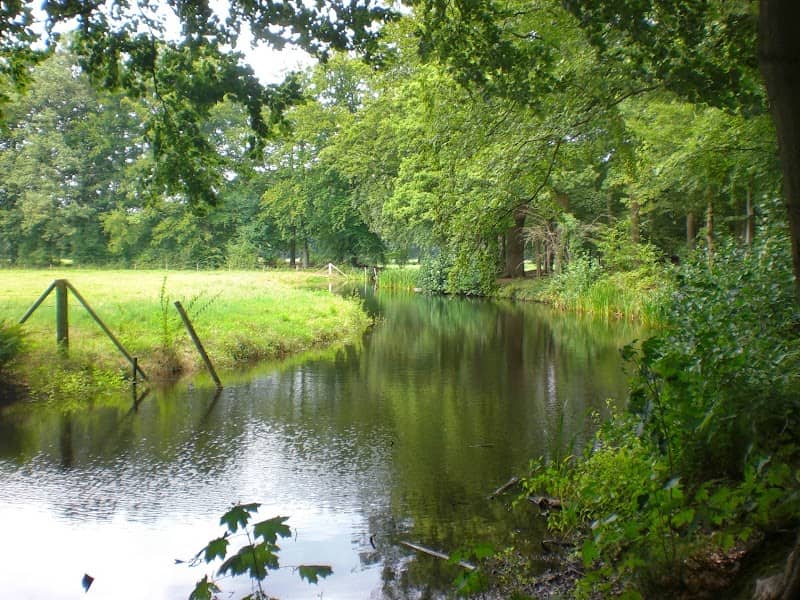 Hidden garden - Image 2