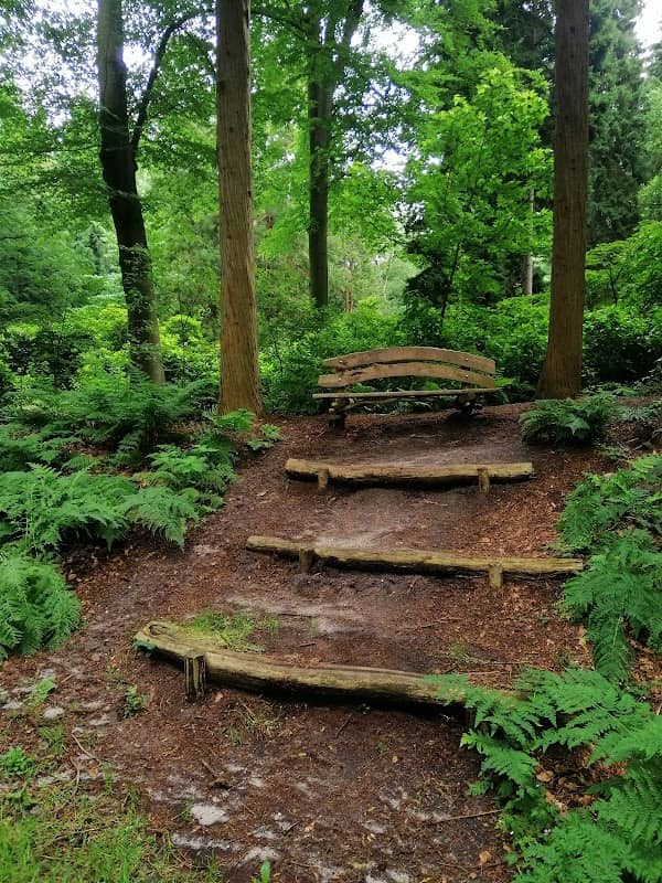 Hidden garden - Image 1