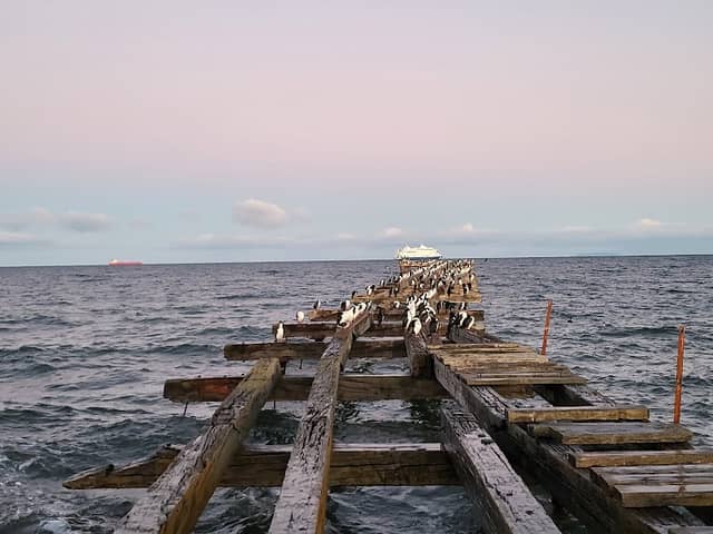 Costanera - Image 1