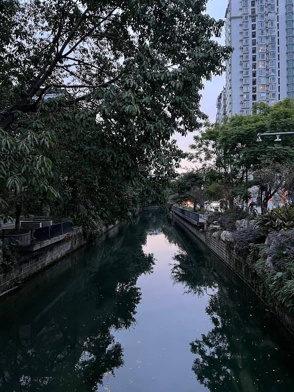 十二桥遗址 - Image 1