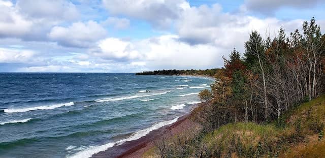 Redwyn Dunes Nature Sanctuary - Image 3