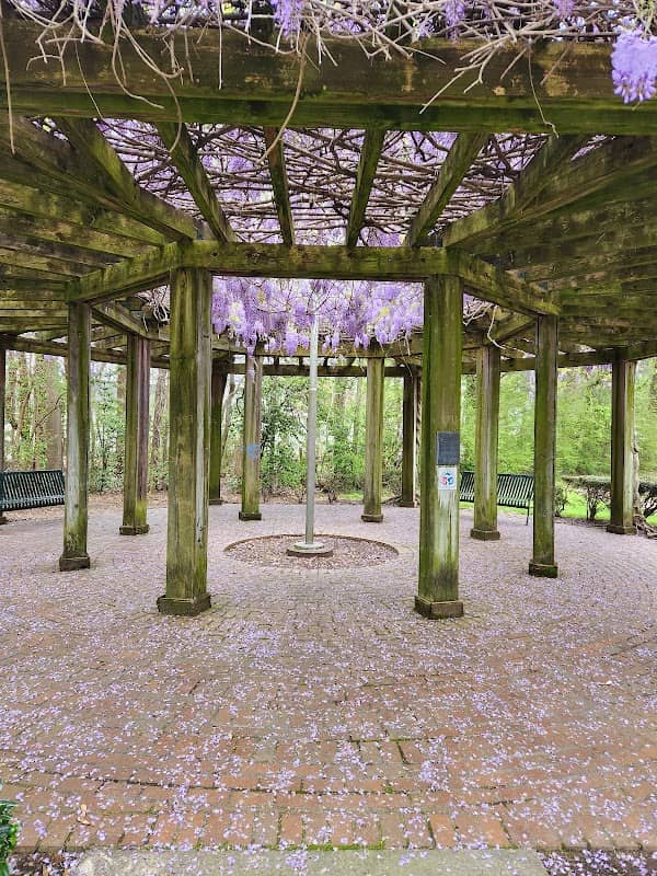 Arbor of Memories - Image 2