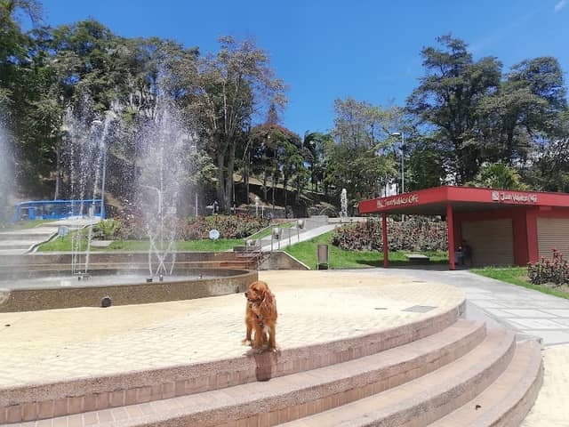Agua Park - Image 1