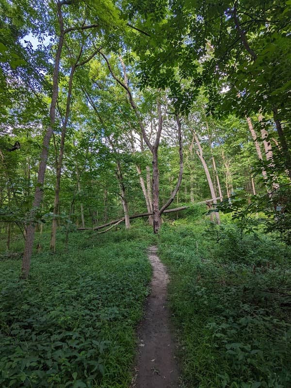 Tom Freeman Preserve - Image 1