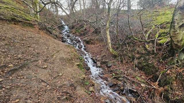 Burnhope Linn (waterfall) - Image 2