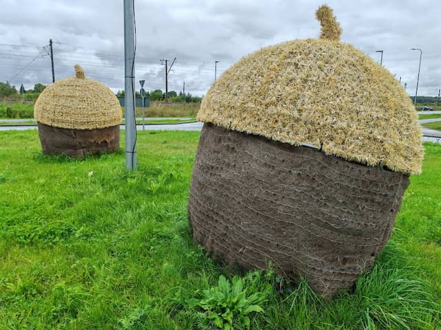 Tammetõru - Image 1